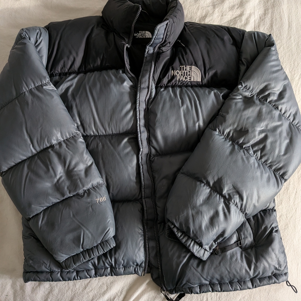 The North Face Black and Gray Jacket